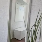 Miric Apartament