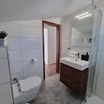 Miric Apartament *