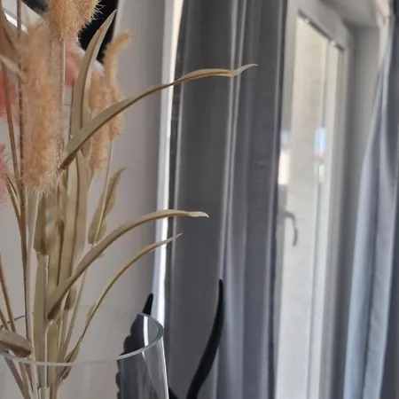 Apartment Miric