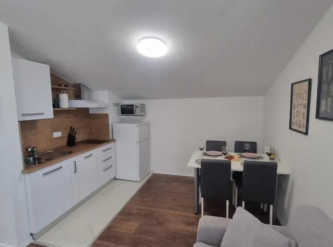 Apartment Miric