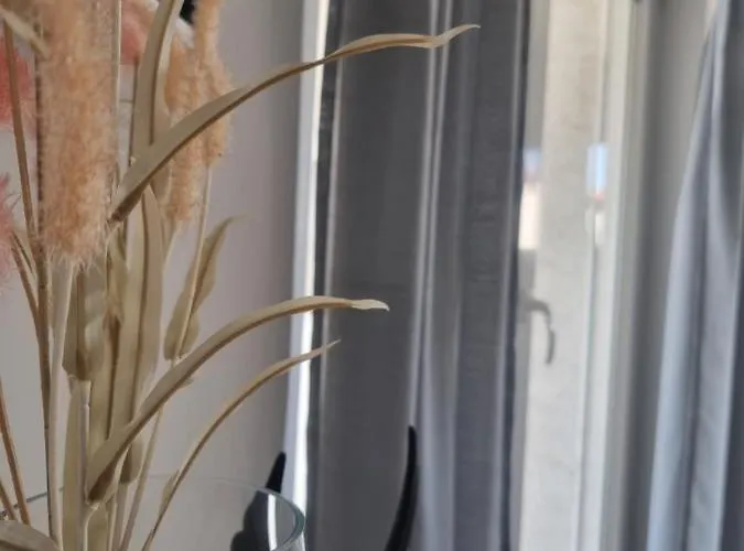 Apartment Miric